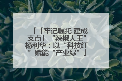「牢记嘱托 建成支点」“辣椒大王”杨利华：以“科技红”赋能“产业绿”