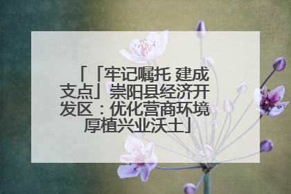 「牢记嘱托 建成支点」崇阳县经济开发区：优化营商环境 厚植兴业沃土
