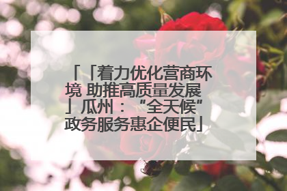 「着力优化营商环境 助推高质量发展」瓜州：“全天候”政务服务惠企便民