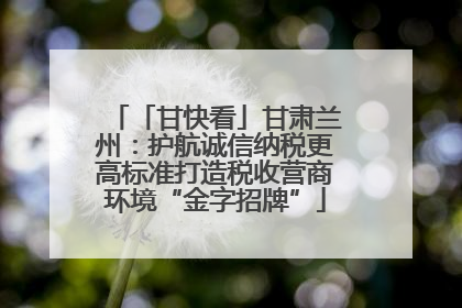 「甘快看」甘肃兰州：护航诚信纳税更高标准打造税收营商环境“金字招牌”