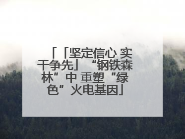 「坚定信心 实干争先」“钢铁森林”中 重塑“绿色”火电基因