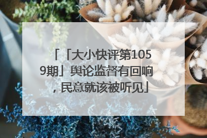 「大小快评第1059期」舆论监督有回响，民意就该被听见