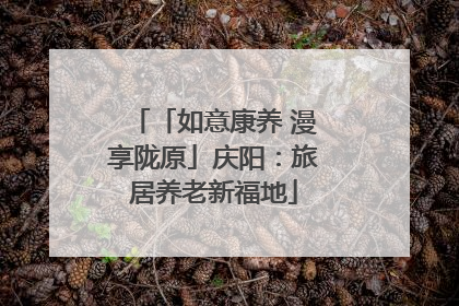 「如意康养 漫享陇原」庆阳：旅居养老新福地