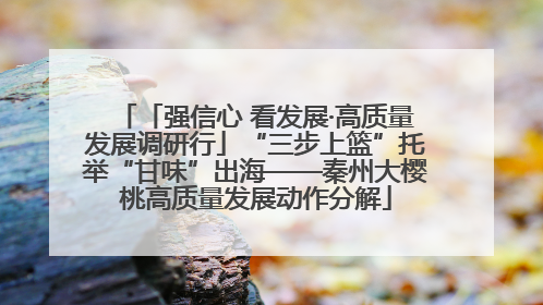 「强信心 看发展·高质量发展调研行」“三步上篮”托举“甘味”出海——秦州大樱桃高质量发展动作分解