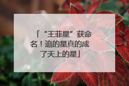 “王菲星”获命名！追的星真的成了天上的星