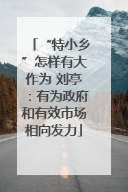 “特小乡”怎样有大作为 刘亭：有为政府和有效市场相向发力