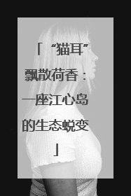 “猫耳”飘散荷香：一座江心岛的生态蜕变