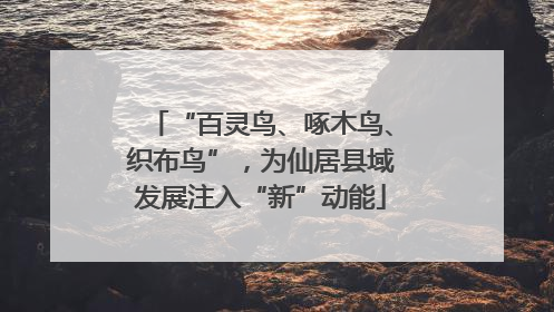 “百灵鸟、啄木鸟、织布鸟”，为仙居县域发展注入“新”动能