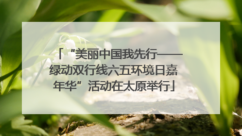 “美丽中国我先行——绿动双行线六五环境日嘉年华”活动在太原举行