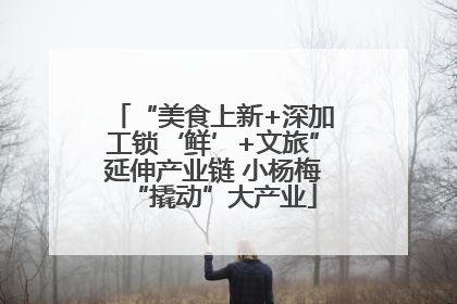 “美食上新+深加工锁‘鲜’+文旅”延伸产业链 小杨梅“撬动”大产业