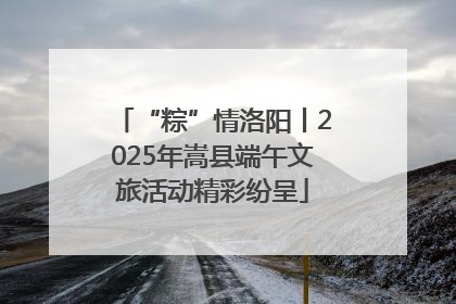 “粽”情洛阳丨2025年嵩县端午文旅活动精彩纷呈
