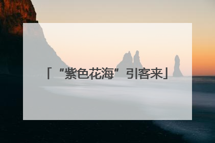 “紫色花海”引客来