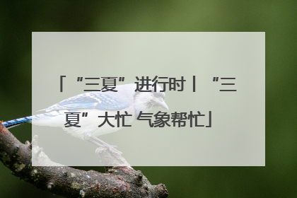 “三夏”进行时丨“三夏”大忙 气象帮忙