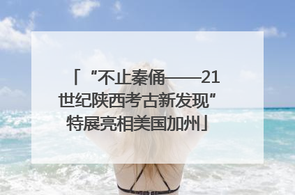 “不止秦俑——21世纪陕西考古新发现”特展亮相美国加州