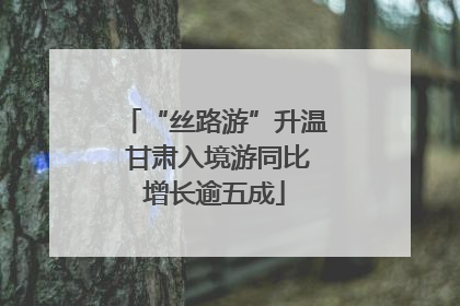 “丝路游”升温 甘肃入境游同比增长逾五成