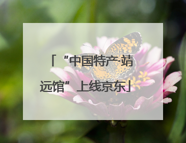 “中国特产·靖远馆”上线京东