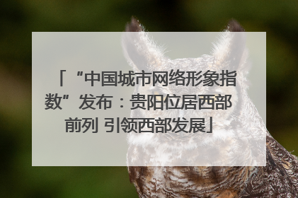 “中国城市网络形象指数”发布：贵阳位居西部前列 引领西部发展