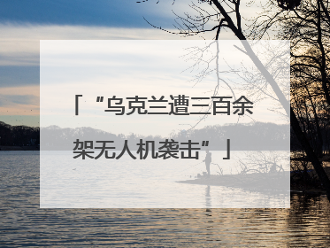 “乌克兰遭三百余架无人机袭击”