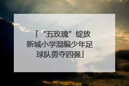 “五玫瑰”绽放 新城小学混编少年足球队勇夺四强