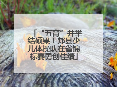 “五育”并举结硕果！郏县少儿体操队在省锦标赛勇创佳绩