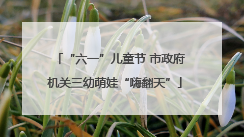 “六一”儿童节 市政府机关三幼萌娃“嗨翻天”