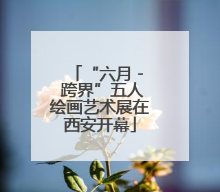 “六月 - 跨界”五人绘画艺术展在西安开幕