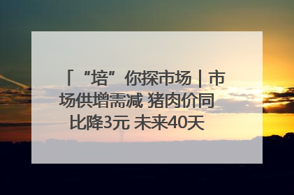 “培”你探市场｜市场供增需减 猪肉价同比降3元 未来40天便宜猪肉敞开吃