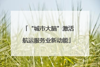 “城市大脑”激活航运服务业新动能