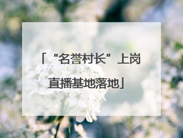 “名誉村长”上岗 直播基地落地
