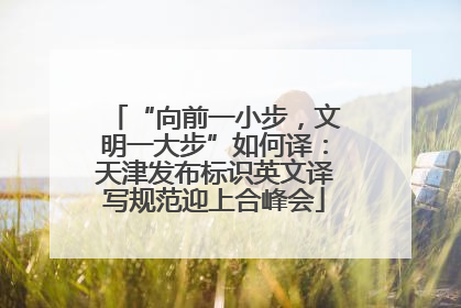“向前一小步，文明一大步”如何译：天津发布标识英文译写规范迎上合峰会