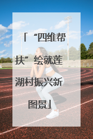 “四维帮扶”绘就莲湖村振兴新图景