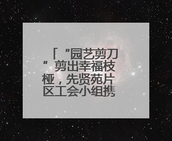 “园艺剪刀”剪出幸福枝桠，先贤苑片区工会小组携手扮靓家园