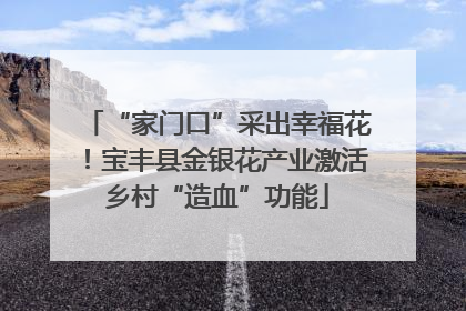 “家门口”采出幸福花！宝丰县金银花产业激活乡村“造血”功能