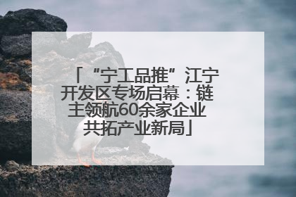 “宁工品推”江宁开发区专场启幕：链主领航60余家企业共拓产业新局