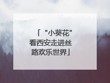“小葵花”看西安走进丝路欢乐世界
