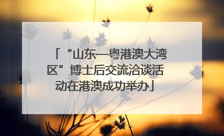 “山东—粤港澳大湾区”博士后交流洽谈活动在港澳成功举办