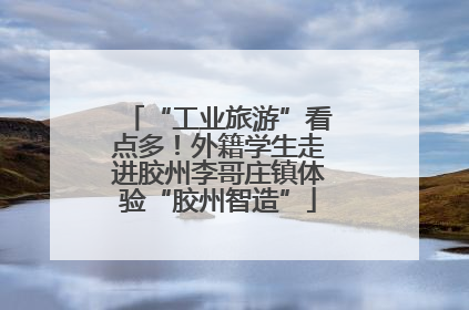 “工业旅游”看点多！外籍学生走进胶州李哥庄镇体验“胶州智造”