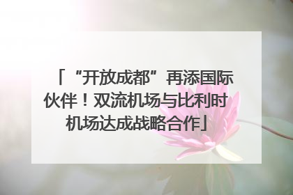 “开放成都”再添国际伙伴！双流机场与比利时机场达成战略合作