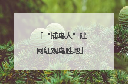 “捕鸟人”建网红观鸟胜地