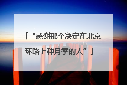 “感谢那个决定在北京环路上种月季的人”