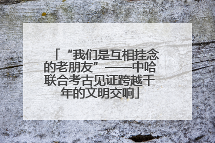 “我们是互相挂念的老朋友”——中哈联合考古见证跨越千年的文明交响