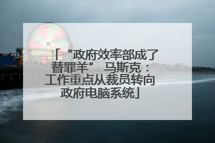 “政府效率部成了替罪羊” 马斯克：工作重点从裁员转向政府电脑系统
