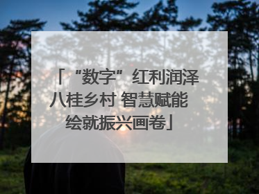 “数字”红利润泽八桂乡村 智慧赋能绘就振兴画卷