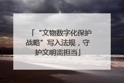 “文物数字化保护战略”写入法规，守护文明需担当