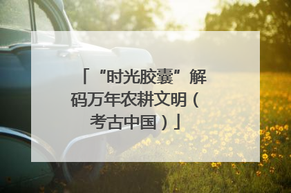 “时光胶囊”解码万年农耕文明（考古中国）