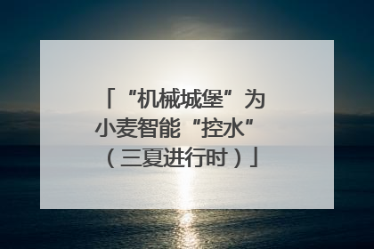 “机械城堡”为小麦智能“控水”（三夏进行时）