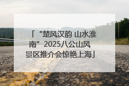 “楚风汉韵 山水淮南”2025八公山风景区推介会惊艳上海