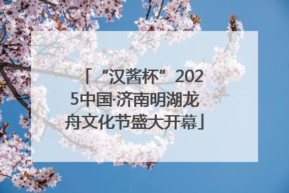 “汉酱杯”2025中国·济南明湖龙舟文化节盛大开幕