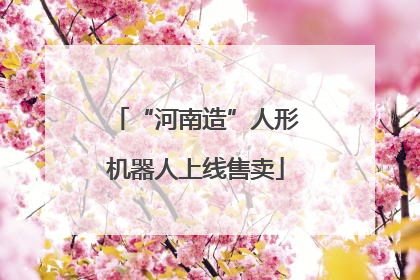 “河南造”人形机器人上线售卖