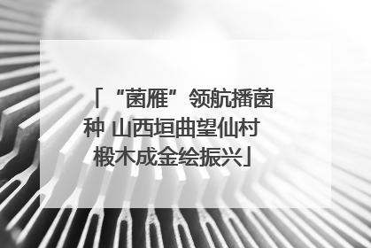 “菌雁”领航播菌种 山西垣曲望仙村椴木成金绘振兴